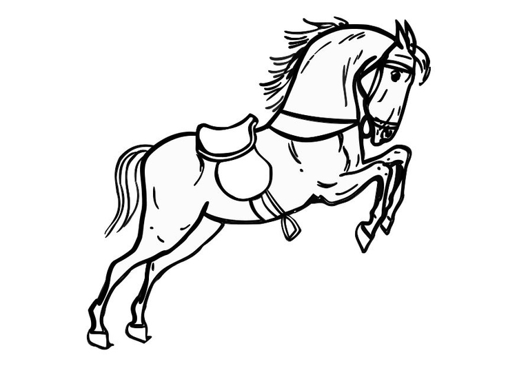 Coloriage cheval sotant