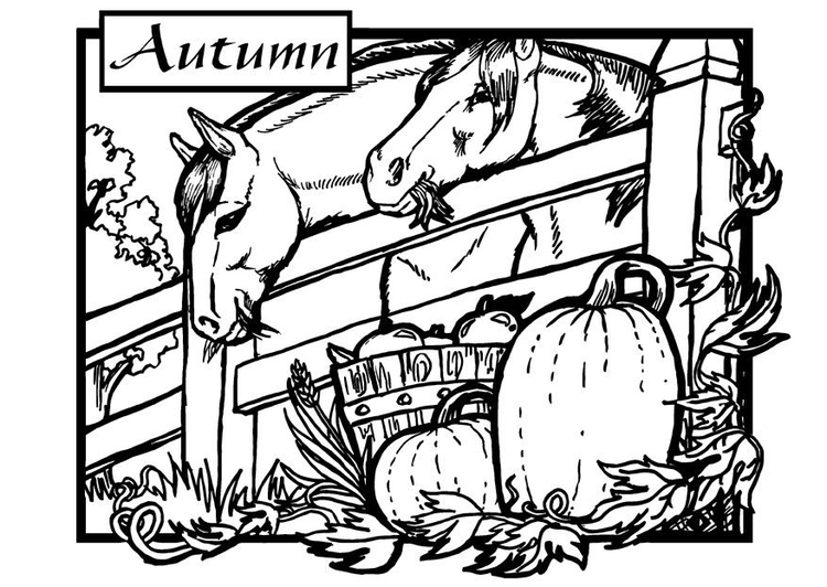 Coloriage chevaux d'automne