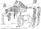 chevaux sellés