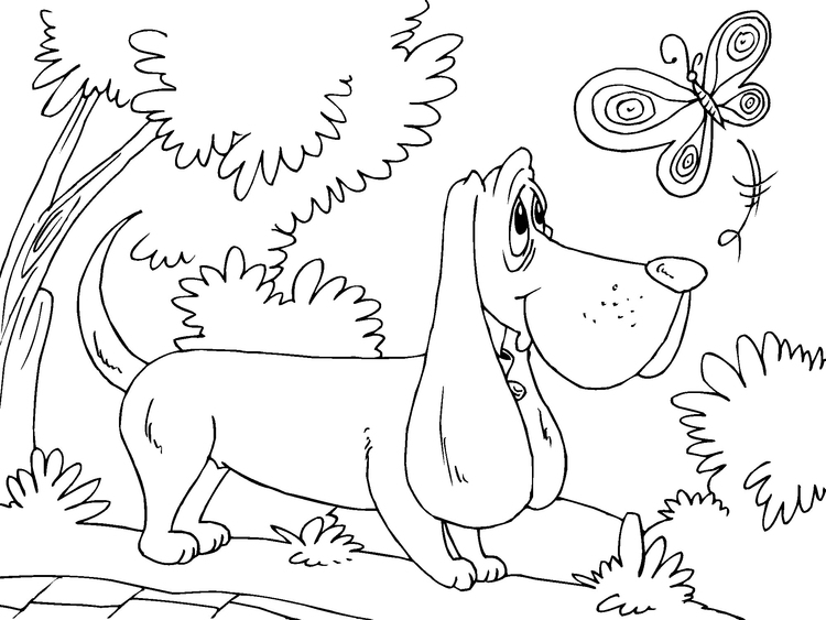 Coloriage chien de chasse