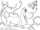 Coloriages chien de chasse