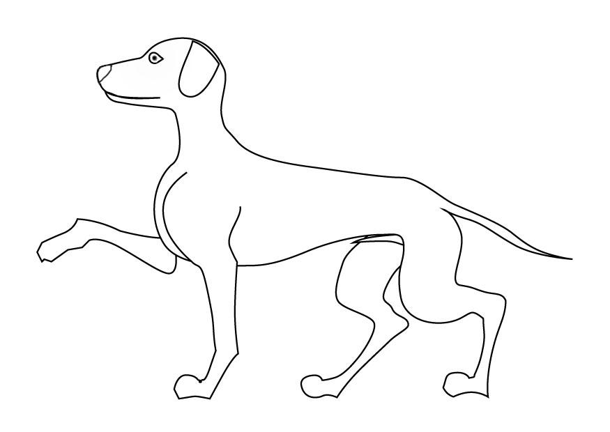 Coloriage chien