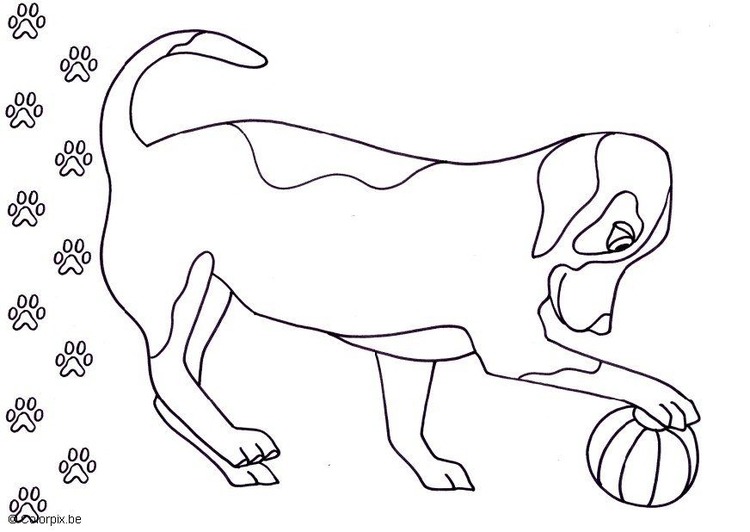 Coloriage chien