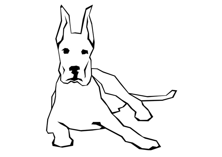 Coloriage chien