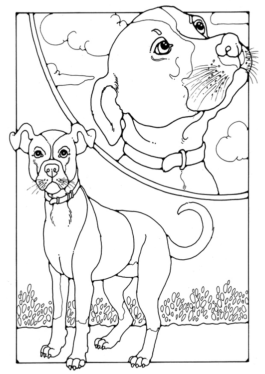 Coloriage chien