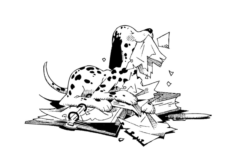 Coloriage chien