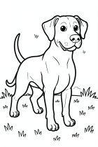 chien heureux