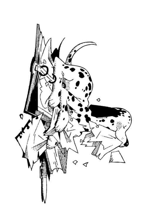 chien