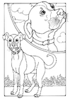 Coloriages chien