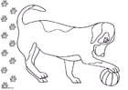 Coloriage chien