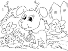 Coloriage chiot