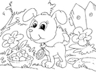 coloriage chiot