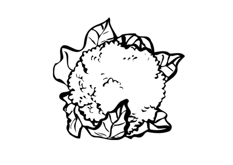 Coloriage chou-fleur