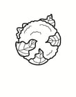 Coloriages chou-fleur