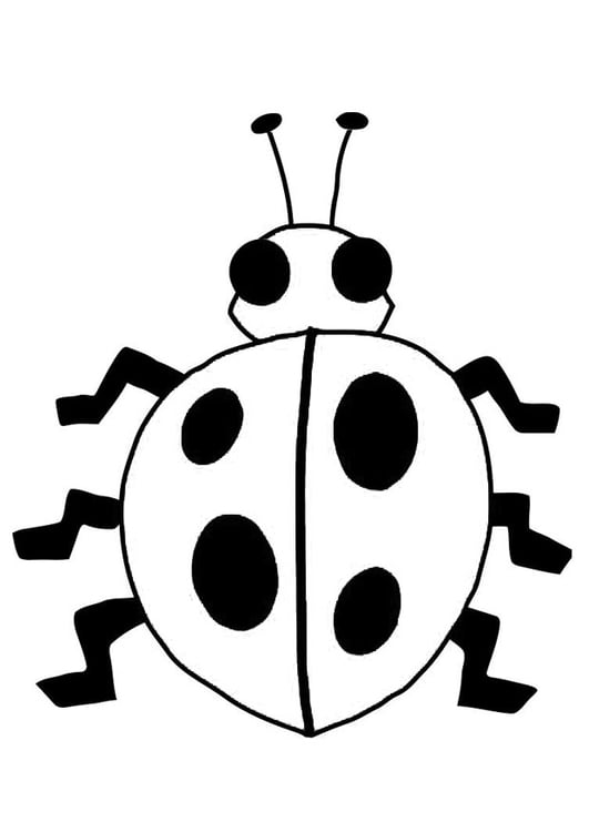 Coloriage coccinelle