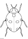 Coloriage coccinelle