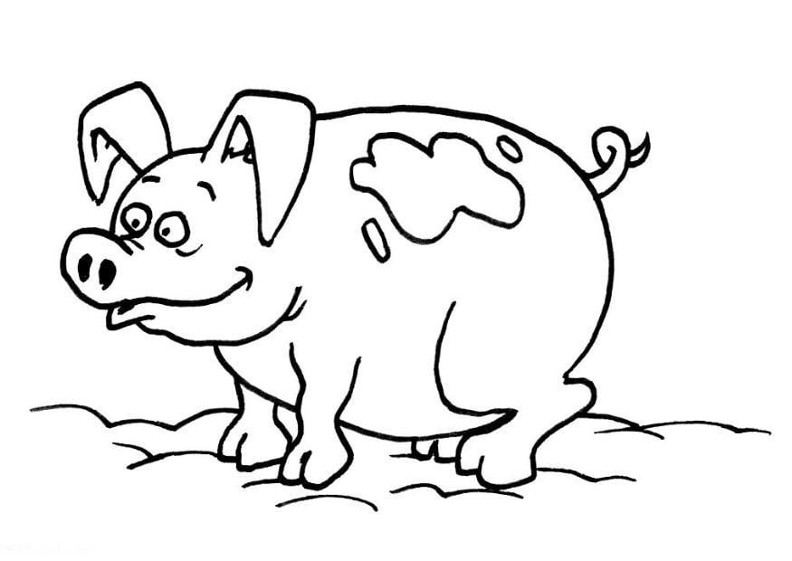 Coloriage cochon