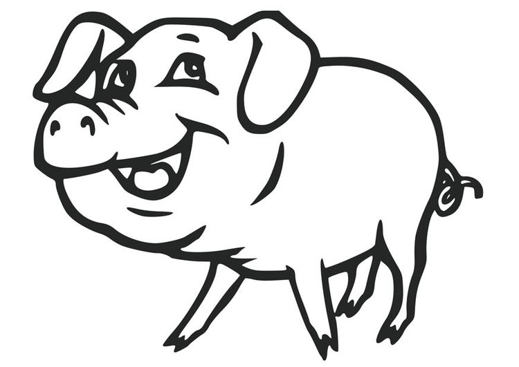 Coloriage cochon