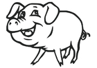 Coloriage cochon