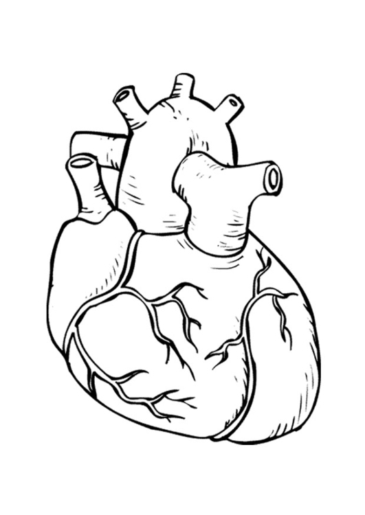 Coloriage coeur