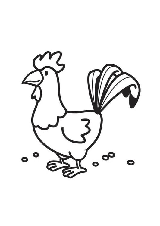 Coloriage Coq