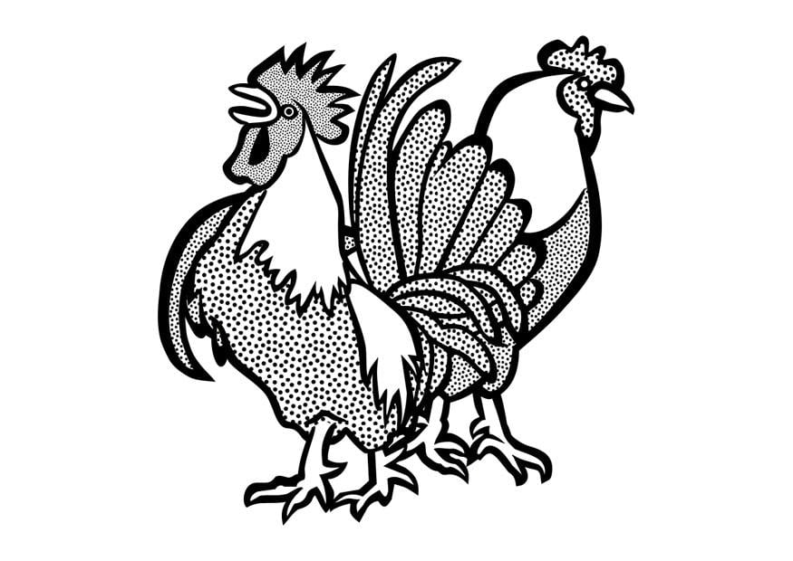 Coloriage Coq et poule