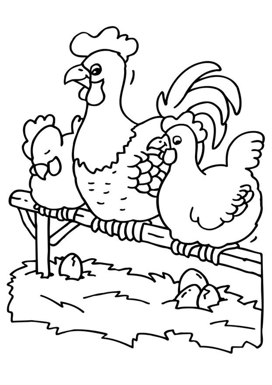 Coloriage coq et poules