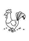 coloriage Coq