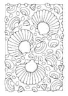 Coloriages coquillages