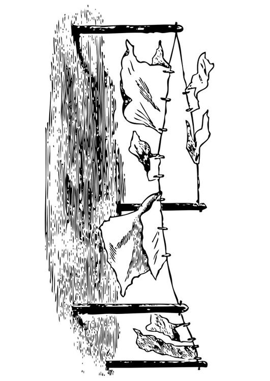 corde Ã  linge