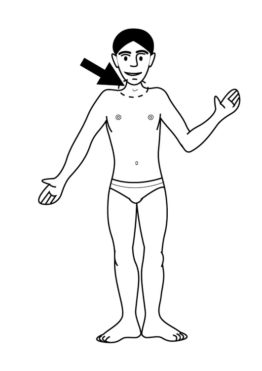 Coloriage cou