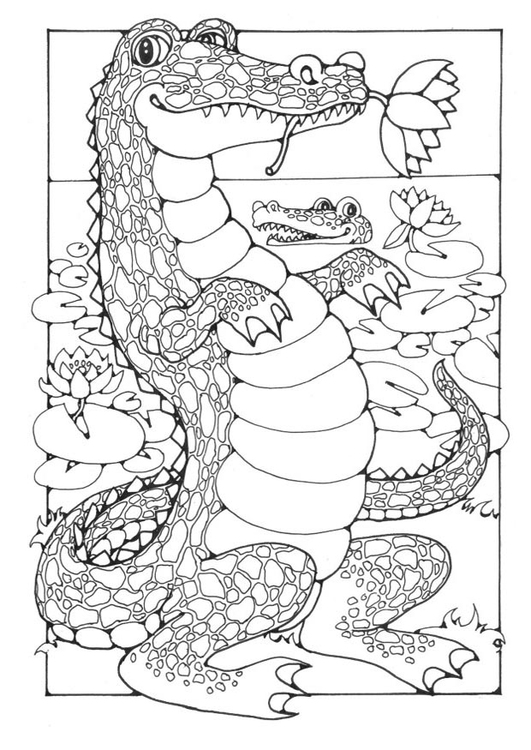 Coloriage crocodiles