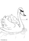 Coloriages cygne