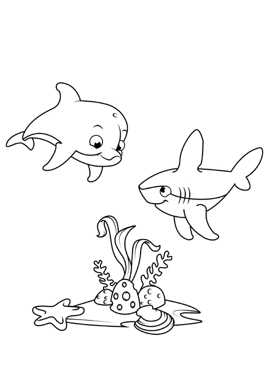 Coloriage dauphin et requin