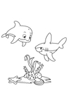 Coloriage dauphin et requin