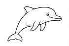 dauphin