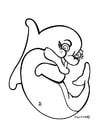 Coloriage dauphin