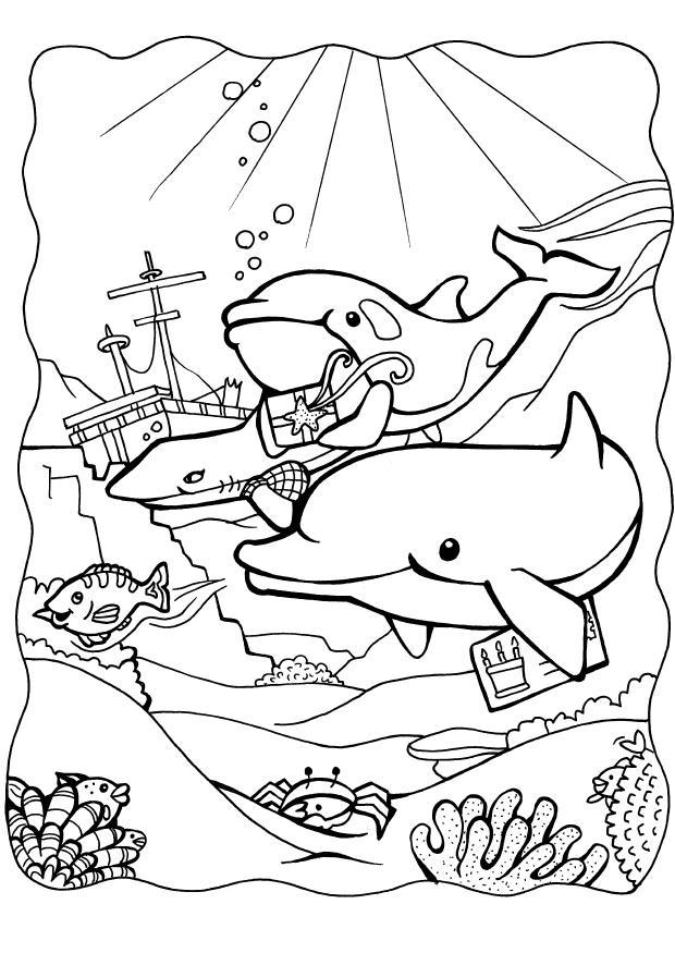 Coloriage dauphins - Coloriages Gratuits à Imprimer - Dessin 11154