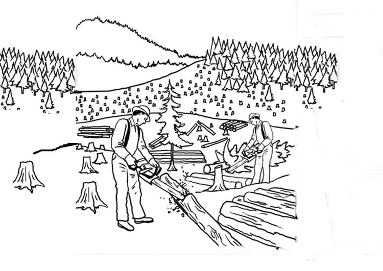 Coloriage dÃ©forestation