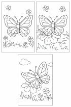 des papillons dans le jardin