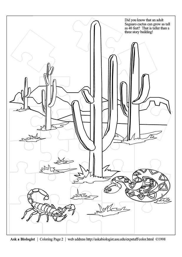 coloriage desert coloriages gratuits a imprimer dessin 3638 printemps pluvieux