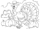 coloriage dinde