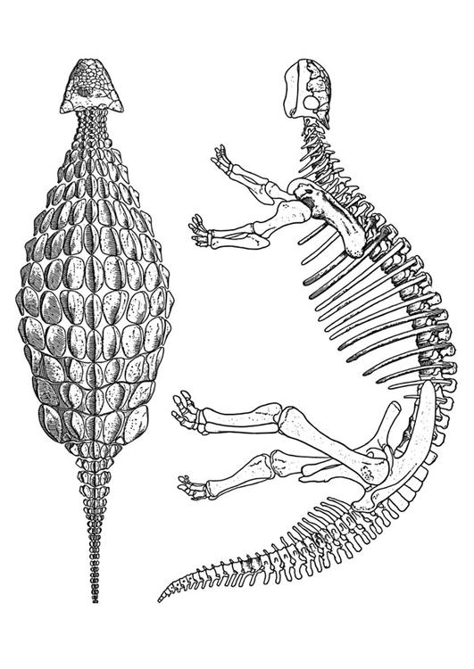 dinosaure - ankylosaurus