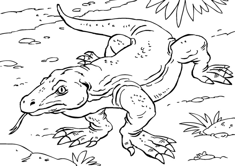 Coloriage dragon de Komodo