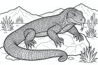 Dragon de Komodo