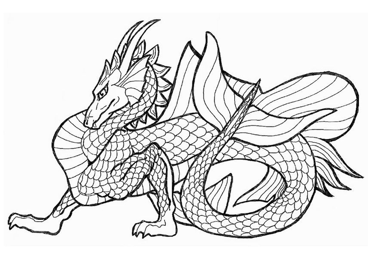 Coloriage dragon marin