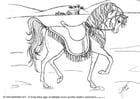 Coloriage dressage