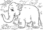 Coloriages éléphant d'Asie