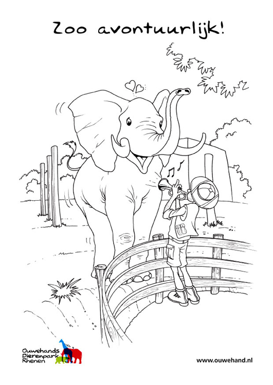 Coloriage Ã©lÃ©phant dans le zoo