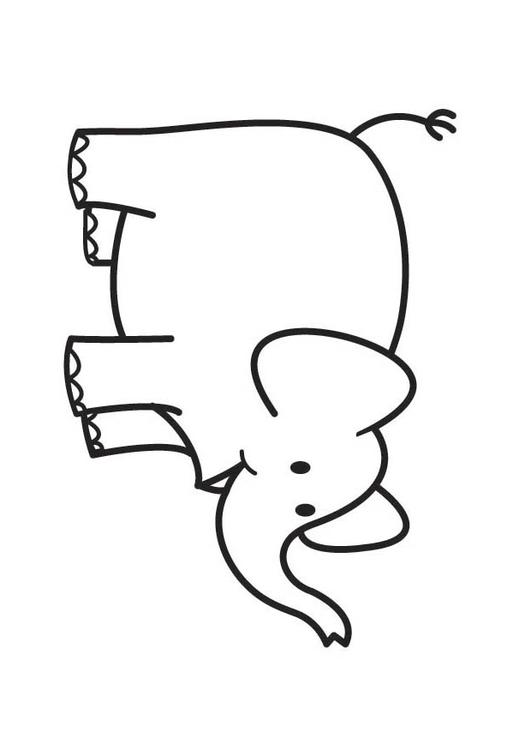 ElÃ©phant